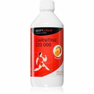 SportWave® Carnitine 220 000 spalovač tuků příchuť Orange 500 ml obraz