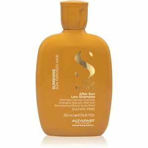 Alfaparf Milano Semi di Lino Sunshine ochranný šampon pro vlasy namáhané sluncem 250 ml obraz
