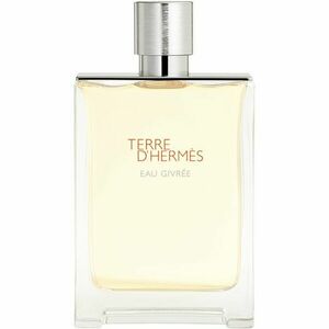 HERMÈS Terre d’Hermès Eau Givrée parfémovaná voda pro muže 175 ml obraz