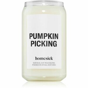 homesick Pumpkin Picking vonná svíčka 390 g obraz