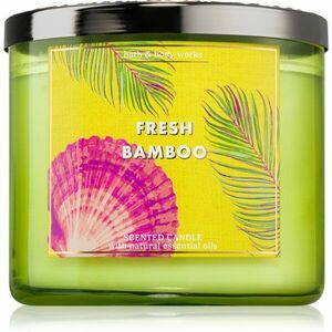 Bath & Body Works Fresh Bamboo vonná svíčka 411 g obraz