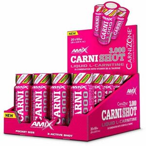 Amix CarniShot 3000 spalovač tuků příchuť Mojito 20x60 ml obraz