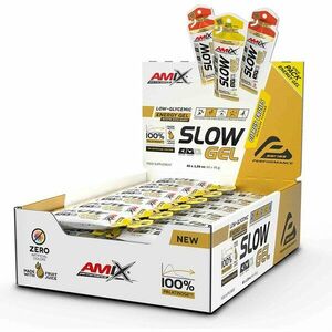 Amix Performance Slow Gel energetický gel příchuť Citrus Fruits 40x45 g obraz