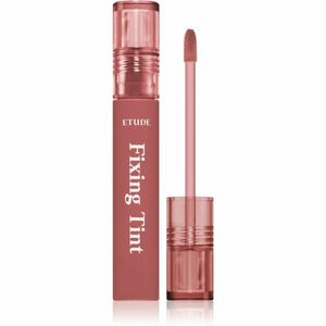 ETUDE Fixing Tint dlouhotrvající rtěnka s matným efektem odstín #05 Midnight Mauve 4 g obraz