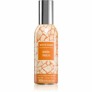 Bath & Body Works Sheer Peach bytový sprej 42, 5 g obraz