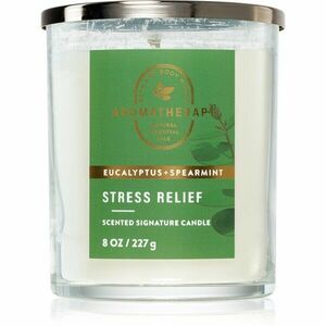 Bath & Body Works Eucalyptus Spearmint vonná svíčka Stress Relief 227 g obraz