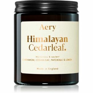 Aery Fernweh Himalyan Cedarleaf vonná svíčka 140 g obraz