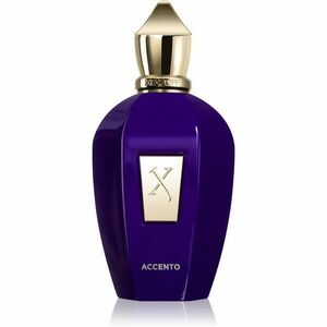 Xerjoff Purple Accento parfémovaná voda unisex 100 ml obraz