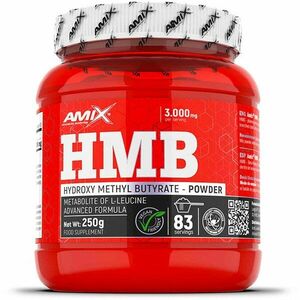 Amix HMB Powder regenerace svalů 250 g obraz