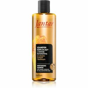 Farmona Jantar Amber Essence hydratační šampon pro suché vlasy 300 ml obraz