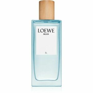 Loewe Agua Él toaletní voda pro muže 75 ml obraz