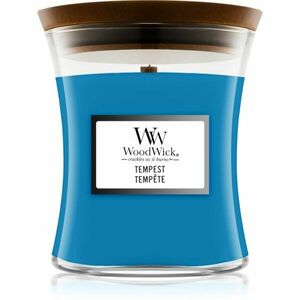 Woodwick Tempest vonná svíčka 275 g obraz