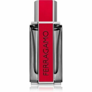 Ferragamo Red Leather parfémovaná voda pro muže 100 ml obraz