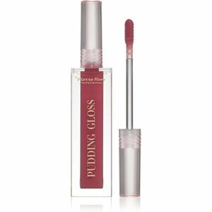 Pierre René Professional Pudding Lip Gloss hydratační lesk na rty odstín 04 Gloss Up Girl 5 ml obraz