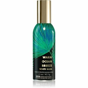 Bath & Body Works Warm Ocean bytový sprej 42, 5 g obraz