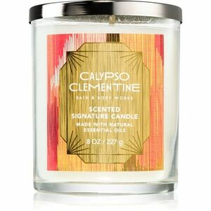 Bath & Body Works Calypso Clementine vonná svíčka 227 g obraz