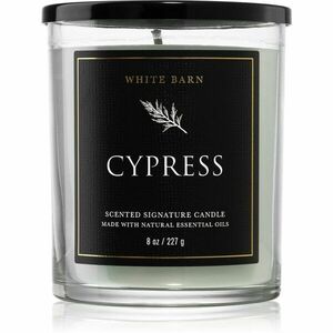 Bath & Body Works Cypress vonná svíčka 227 g obraz