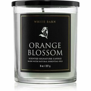 Bath & Body Works Orange Blossom vonná svíčka 227 g obraz