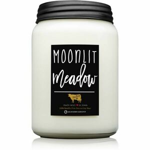 Milkhouse Candle Co. Farmhouse Moonlit Meadow vonná svíčka Mason Jar 737 g obraz