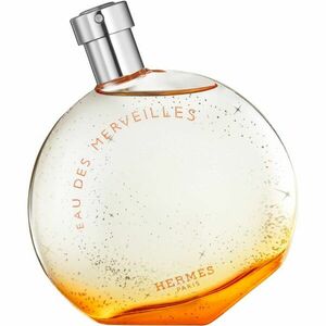 HERMÈS Eau des Merveilles toaletní voda pro ženy 100 ml obraz