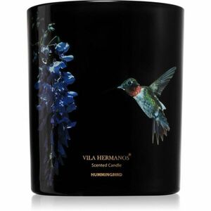 Vila Hermanos Jungletopia Hummingbird vonná svíčka 200 g obraz