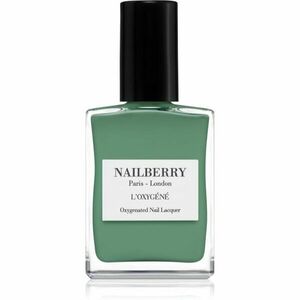 NAILBERRY L'Oxygéné lak na nehty odstín Mint 15 ml obraz