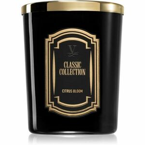 Vila Hermanos Classic Collection Citrus Blossom vonná svíčka 75 g obraz