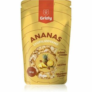 Grizly Ananas lyofilizovaný sušené ovoce 50 g obraz