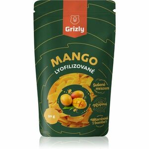 Grizly Mango lyofilizované mrazem sušené ovoce 50 g obraz