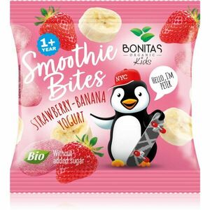 Bonitas Smoothie Bites BIO mrazem sušené ovoce v BIO kvalitě příchuť Strawberry and Yogurt 10 g obraz