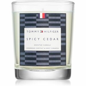 Tommy Hilfiger Home Collection Spicy Cedar svíčka 180 g obraz