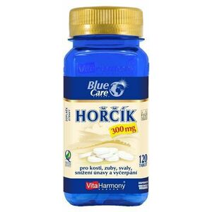 VITAHARMONY Hořčík 300 mg 120 tablet obraz