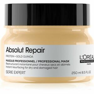 L’Oréal Professionnel Serie Expert Absolut Repair hloubkově regenerační maska pro suché a poškozené vlasy 250 ml obraz