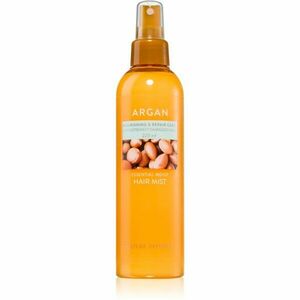 NATURE REPUBLIC Argan Essential Moist Hair Mist hydratační mlha pro poškozené vlasy 220 ml obraz