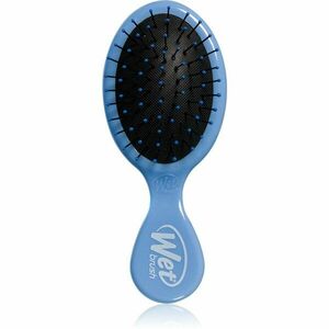 Wet Brush Mini Detangler Sky kartáč na vlasy pro snadné rozčesání vlasů Sky 1 ks obraz