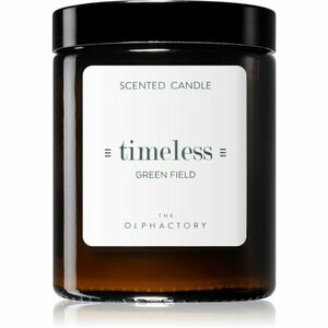 Ambientair The Olphactory Green Field vonná svíčka Timeless 135 g obraz