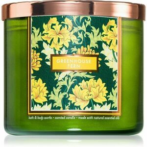 Bath & Body Works Greenhouse Fern vonná svíčka 411 g obraz