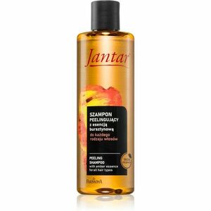 Farmona Jantar Amber Essence šampon s peelingovým efektem 300 ml obraz