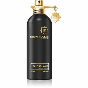 Montale Oud Island parfémovaná voda unisex 100 ml obraz