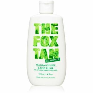 The Fox Tan obraz