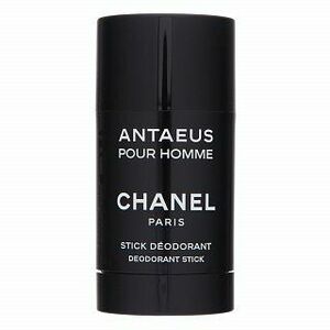 Chanel Antaeus deostick pro muže 75 ml obraz