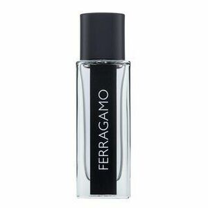 Salvatore Ferragamo Ferragamo toaletní voda pro muže 30 ml obraz