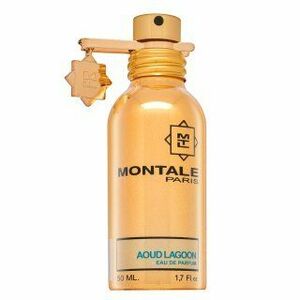 Montale Aoud Lagoon parfémovaná voda unisex 50 ml obraz