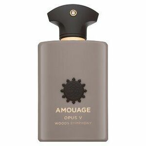 Amouage Opus V Woods Symphony parfémovaná voda unisex 100 ml obraz