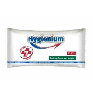 Hygienium Antibakteriální vlhčené ubrousky 15 ks obraz