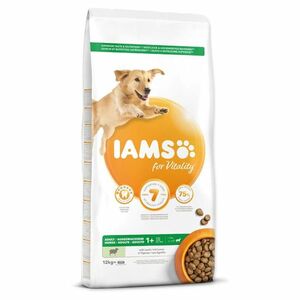 IAMS Dog Adult Large Lamb granule pro psy 12 kg obraz