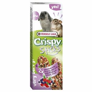 VERSELE-LAGA Crispy Sticks pro králíky/činčily lesní ovoce 110 g obraz