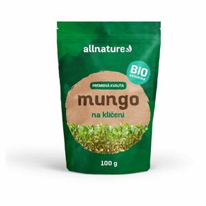 ALLNATURE Fazole Mungo semínka na klíčení BIO 100 g obraz