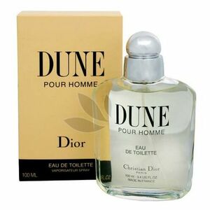 Christian Dior Dune Toaletní voda 100ml obraz