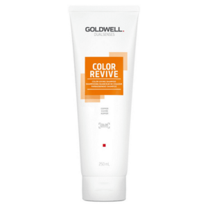 GOLDWELL Copper Dualsenses Color Revive Šampon pro oživení barvy vlasů 250 ml obraz